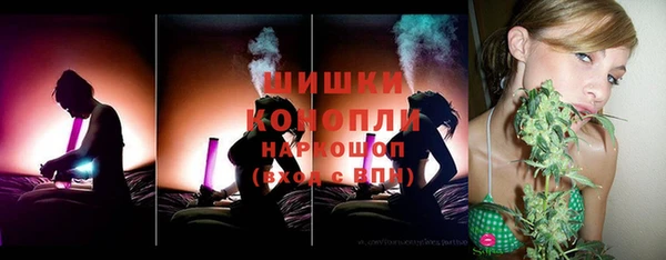PSILOCYBIN Вяземский
