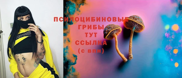 PSILOCYBIN Вяземский