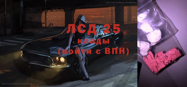 PSILOCYBIN Вяземский