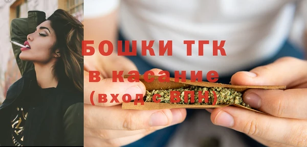 PSILOCYBIN Вяземский