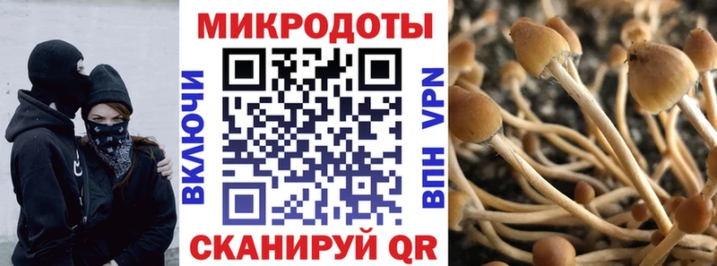 Галлюциногенные грибы Psilocybine cubensis  где можно купить наркотик  Афипский 